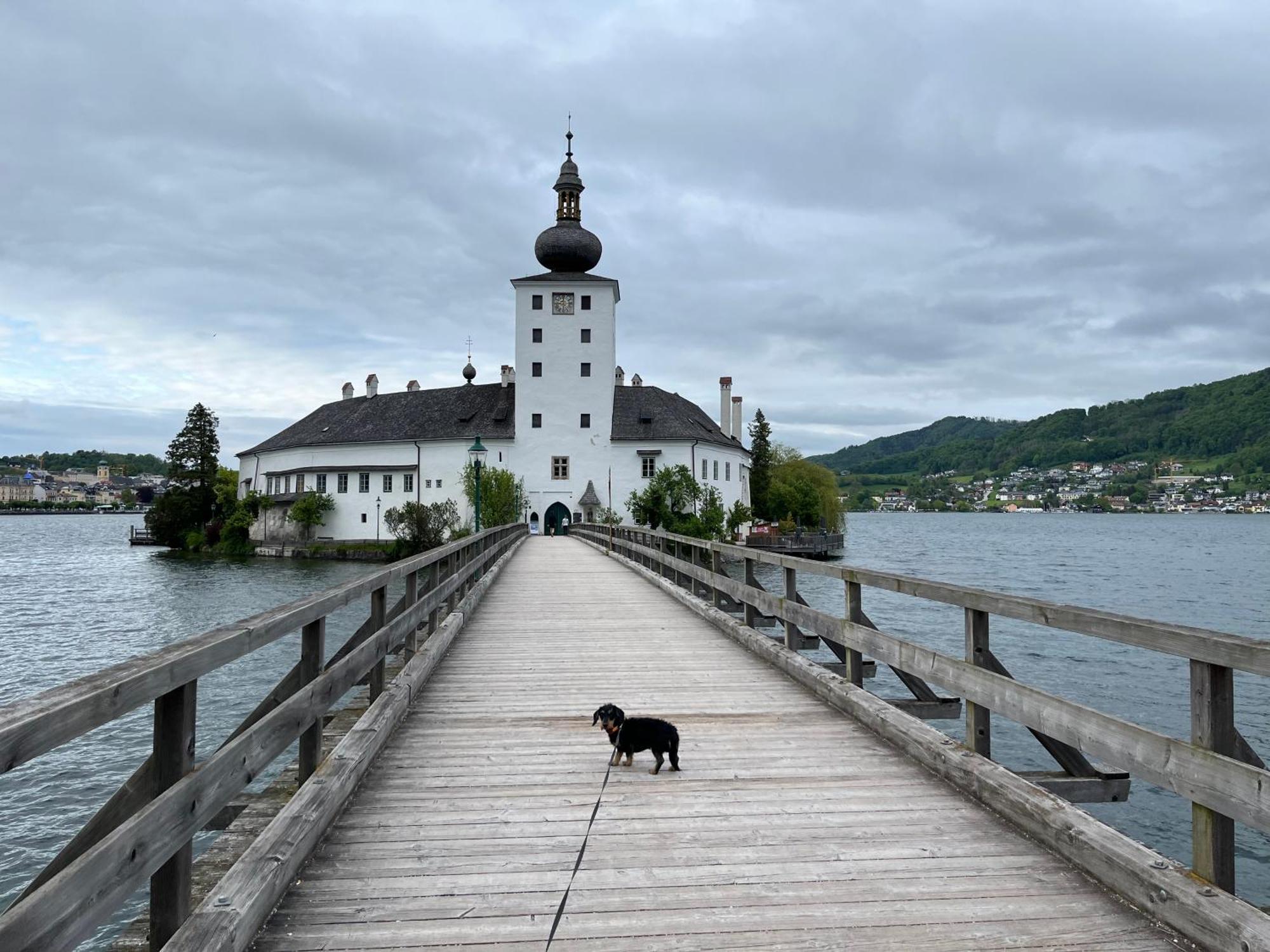 Altstadtjuwel In Gmunden Am Traunsee Экстерьер фото